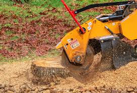 Lawn Watering Services in San Bernardino, CA